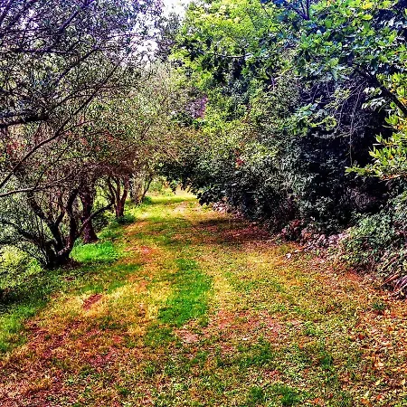 Vakantiehuis Scenic Holiday In With Garden *